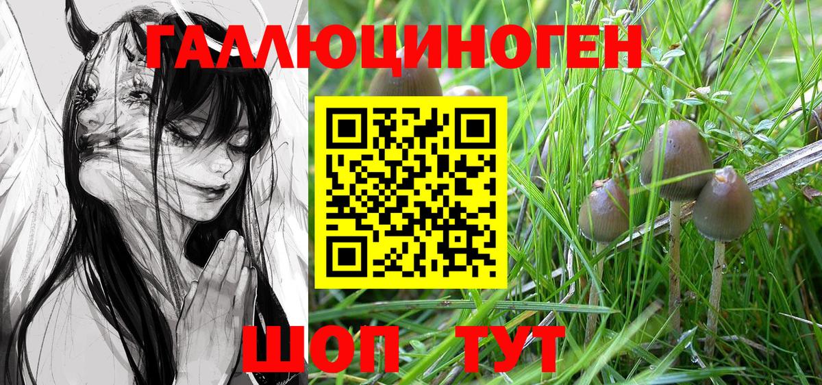 Новоалтайск  Псилоцибиновые грибы MAGIC MUSHROOMS  Галлюциногенные грибы Psilocybine cubensis  Вход с VPN 