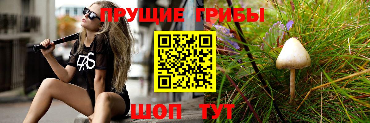Псилоцибиновые грибы GOLDEN TEACHER Новоалтайск